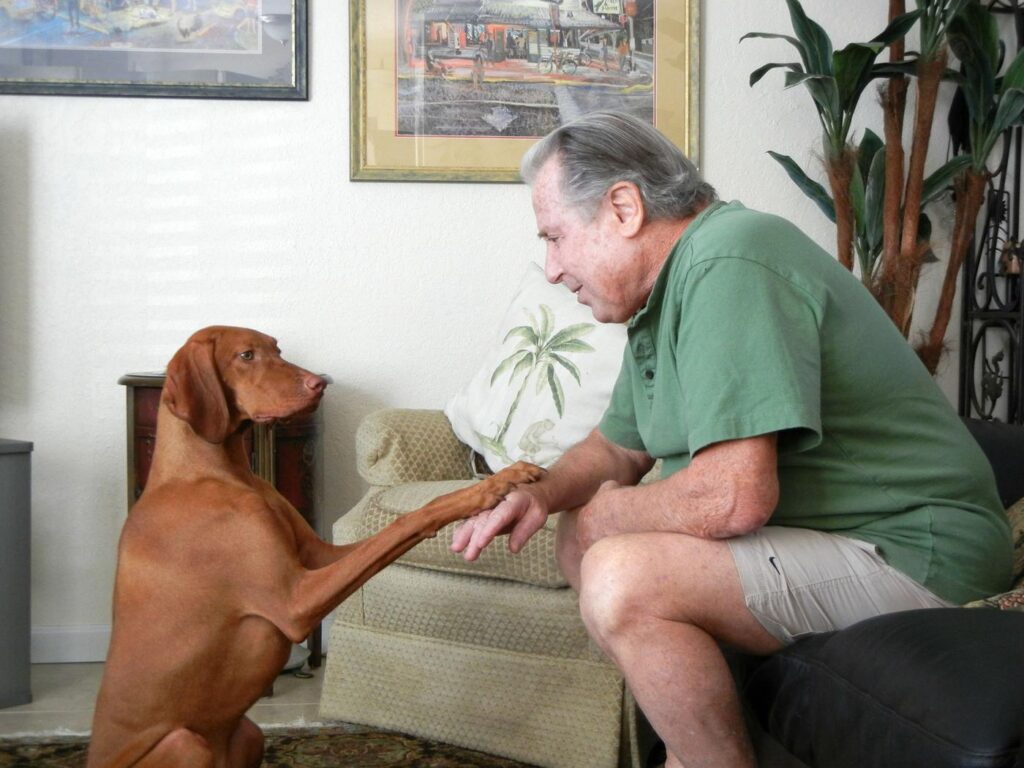 Robert Benvin: He Loved Animals, Especially Maddie